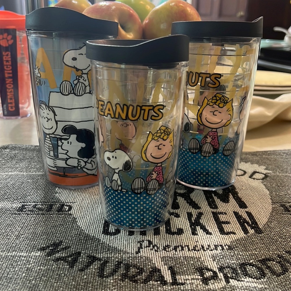 Tervis Brand cups